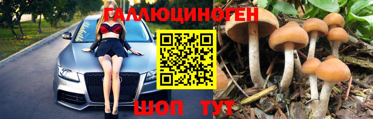 Галлюциногенные грибы Cubensis  Вход с VPN  Галлюциногенные грибы мицелий  Тюмень 